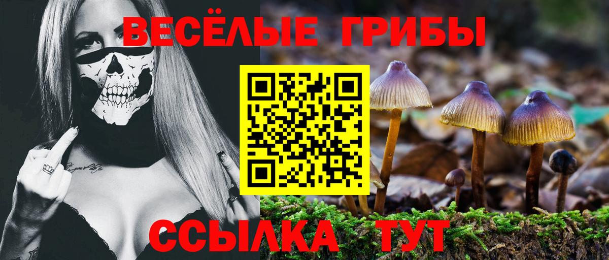 Галлюциногенные грибы Psilocybine cubensis Лабинск