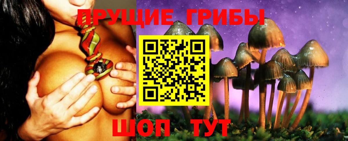 Псилоцибиновые грибы GOLDEN TEACHER  Вход с VPN  Лабинск 