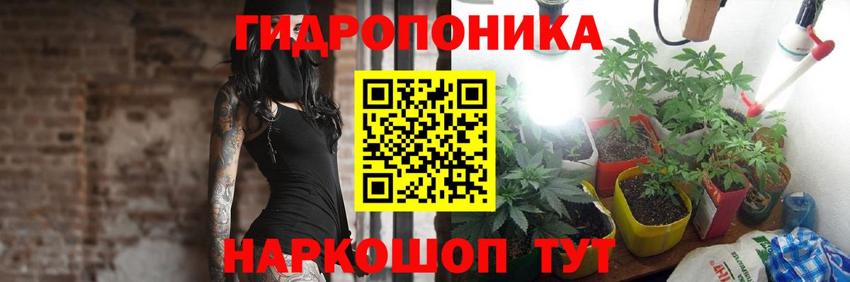 Шишки марихуана план Лабинск